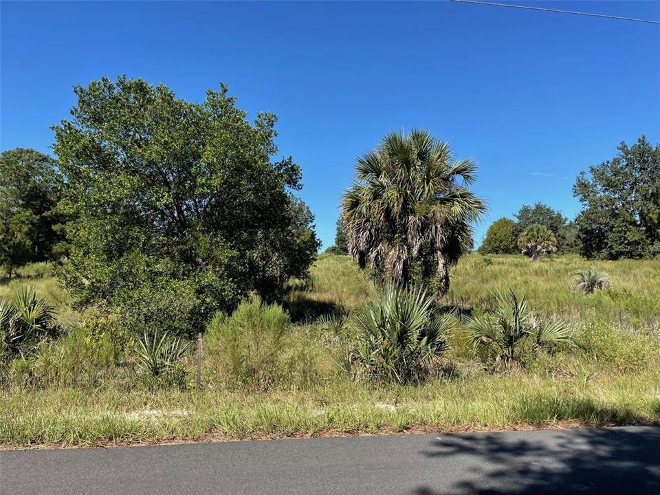 For Sale: $25,500 (0.99 acres)