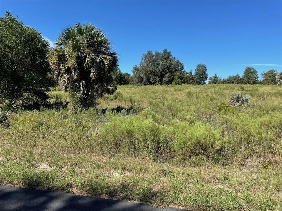 For Sale: $25,500 (0.99 acres)