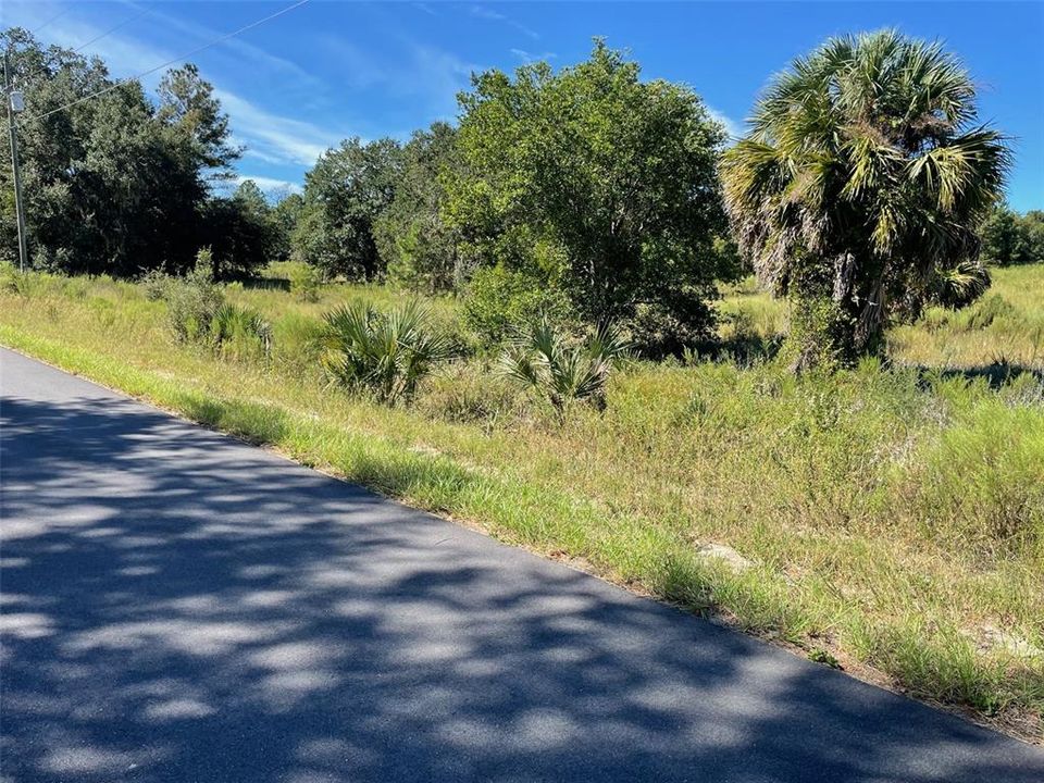 For Sale: $25,500 (0.99 acres)