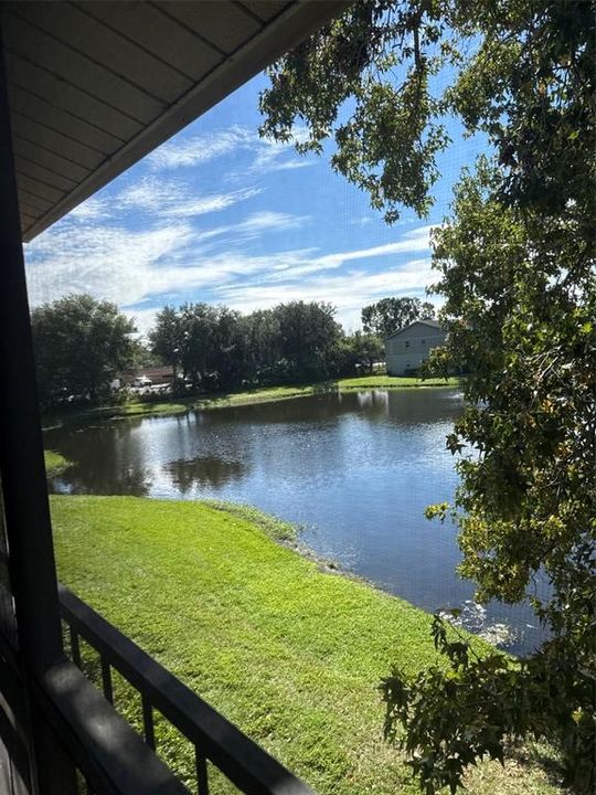For Rent: $1,600 (2 beds, 2 baths, 905 Square Feet)