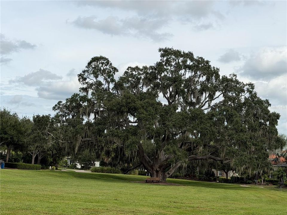 待售: $700,000 (0.54 acres)