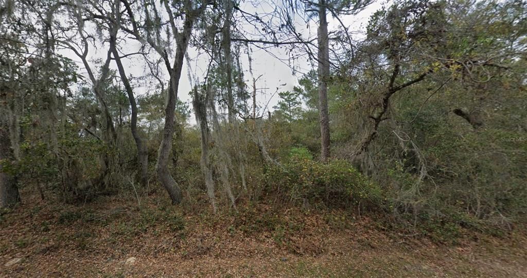 For Sale: $40,000 (0 beds, 0 baths, 0 Square Feet)