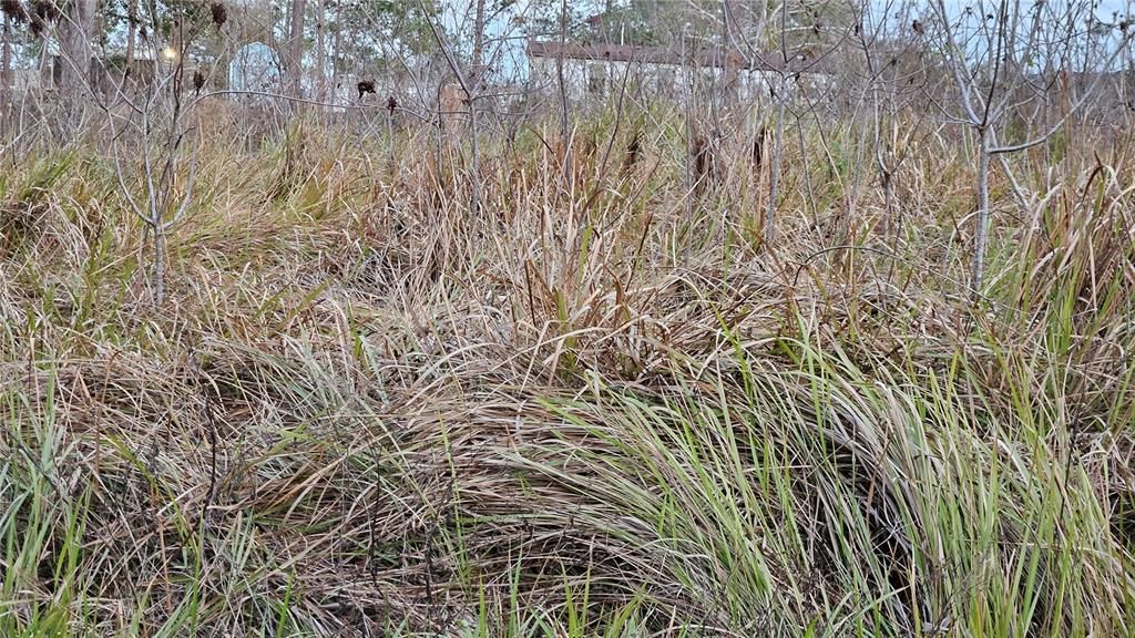 For Sale: $22,900 (0.19 acres)