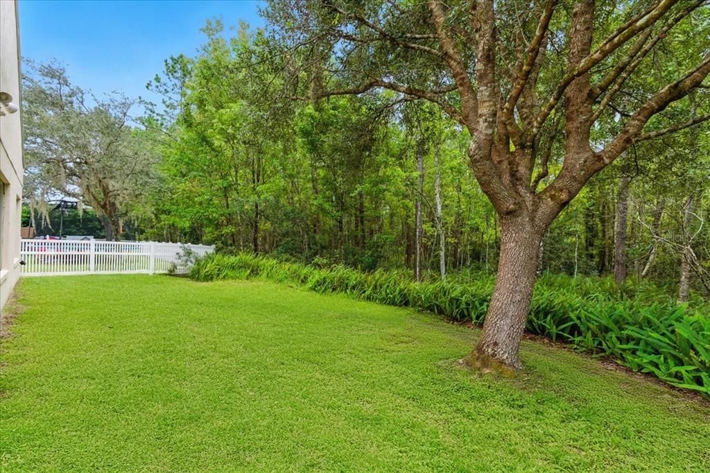 出租: $2,795 (5 贝兹, 2 浴室, 2232 平方英尺)