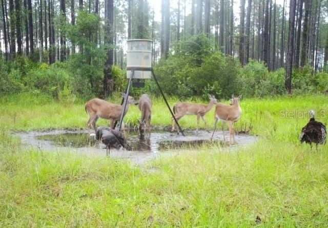 En Venta: $1,200,000 (225.00 acres)