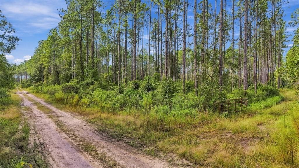 En Venta: $1,200,000 (225.00 acres)