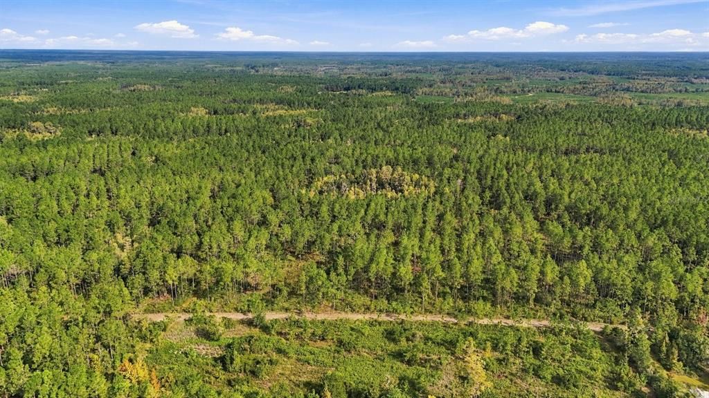 En Venta: $1,200,000 (225.00 acres)