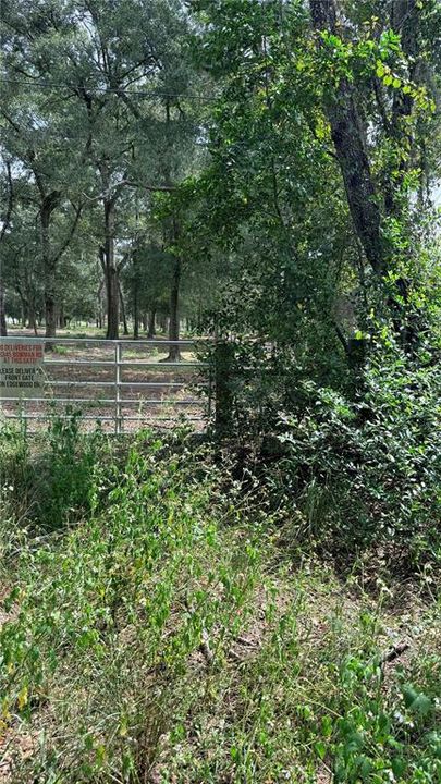 待售: $225,000 (10.00 acres)