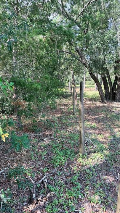 待售: $225,000 (10.00 acres)