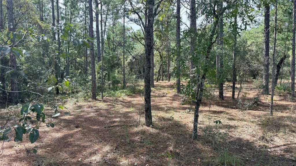 待售: $225,000 (10.00 acres)