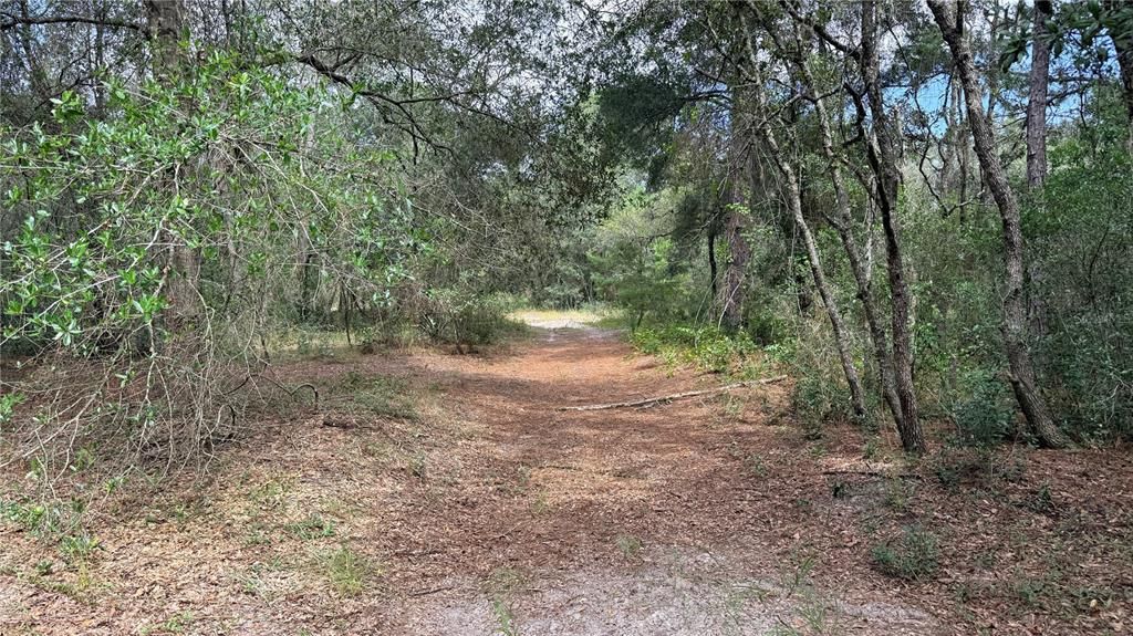 待售: $225,000 (10.00 acres)
