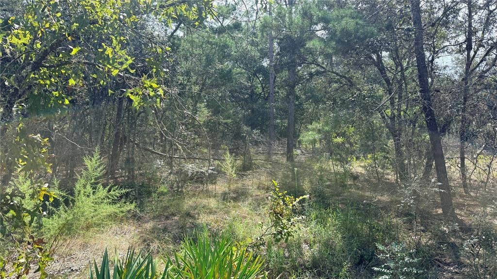 待售: $225,000 (10.00 acres)
