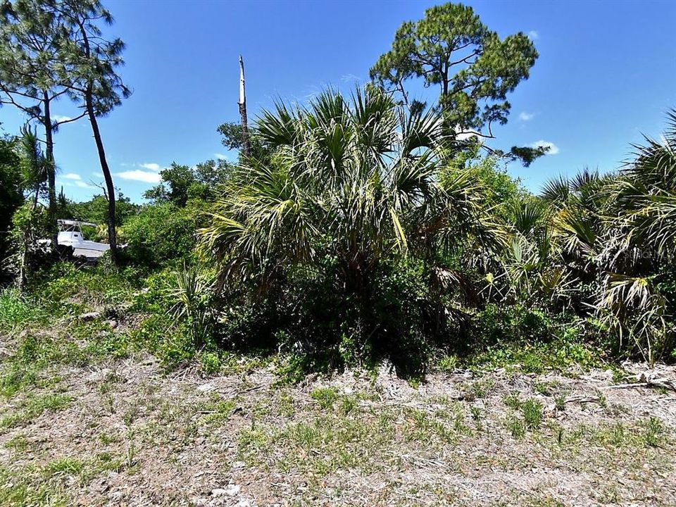 For Sale: $21,000 (0.23 acres)