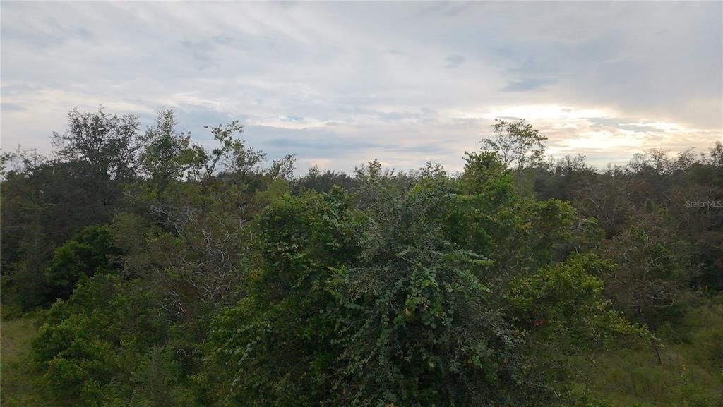 En Venta: $30,000 (0.23 acres)