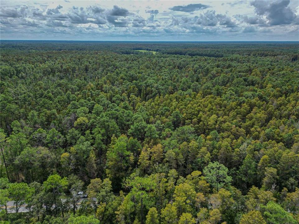 На продажу: $10,000 (0.35 acres)