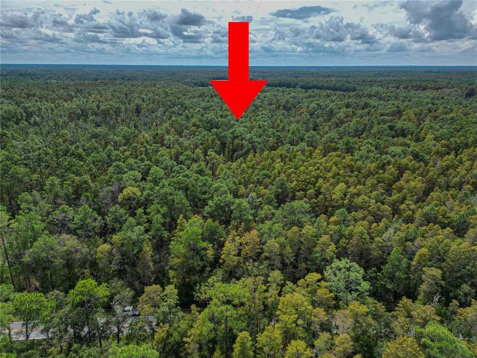 На продажу: $10,000 (0.35 acres)