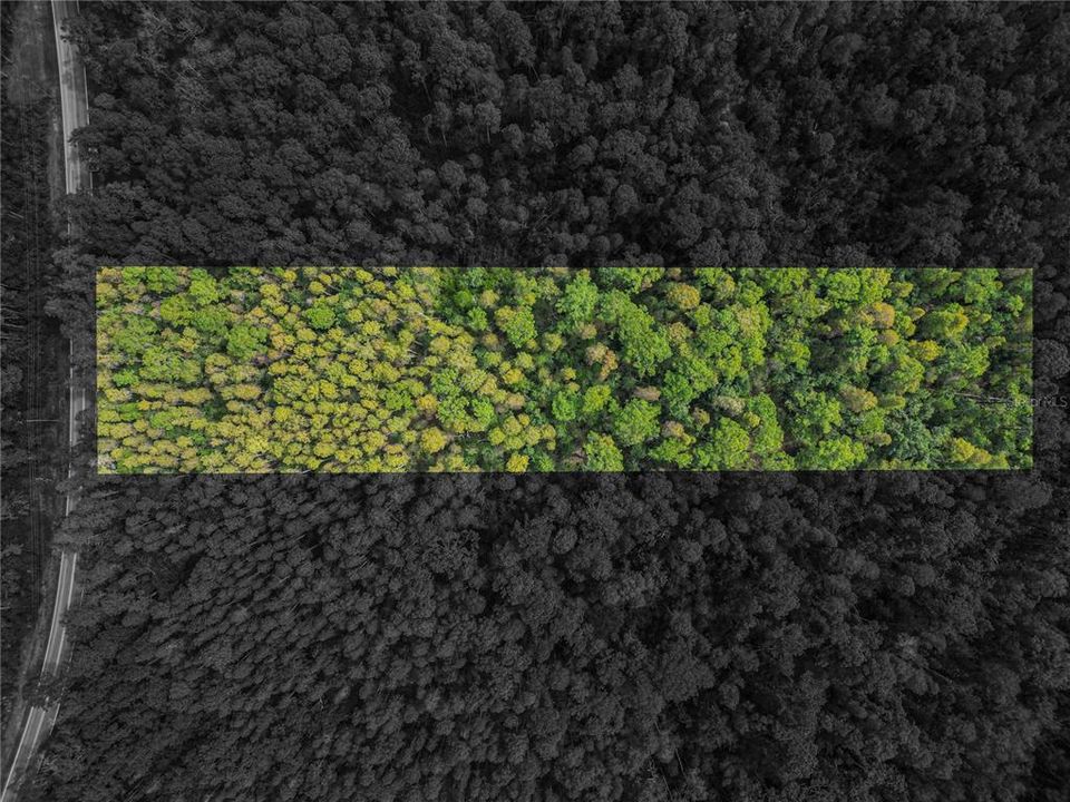 На продажу: $10,000 (0.35 acres)