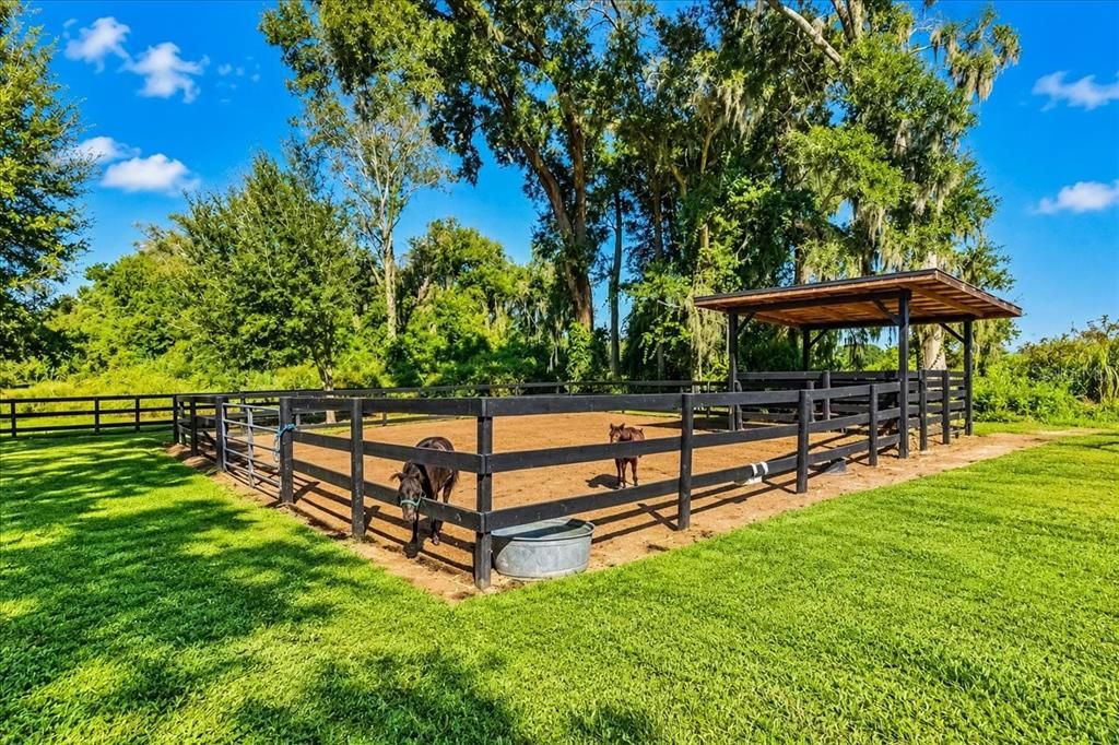На продажу: $339,900 (3 спален, 2 ванн, 1188 Квадратных фут)