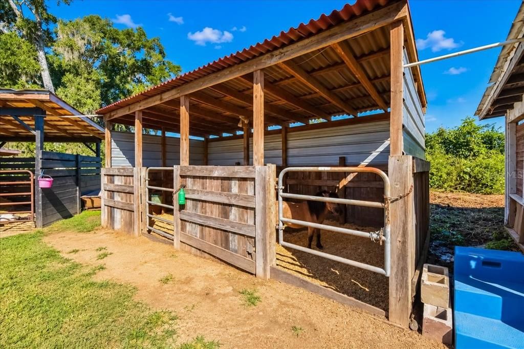 На продажу: $339,900 (3 спален, 2 ванн, 1188 Квадратных фут)