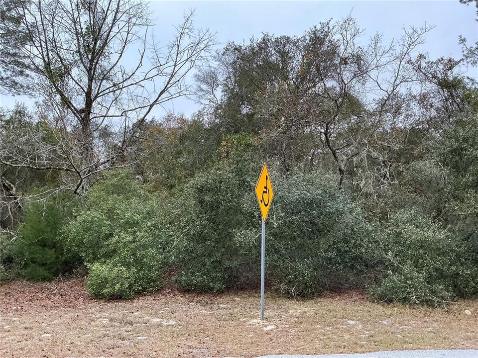 En Venta: $27,900 (0.24 acres)