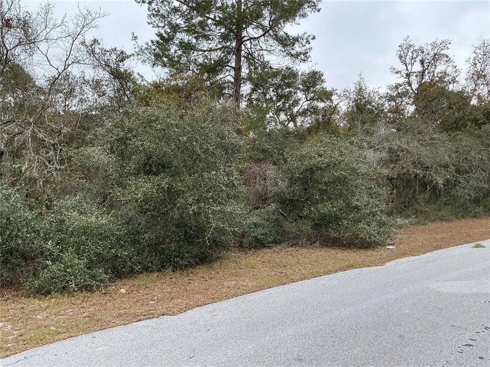 En Venta: $27,900 (0.24 acres)