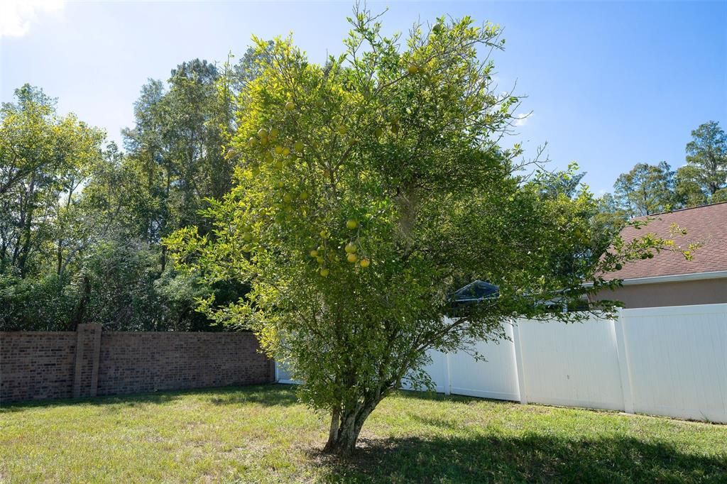 For Sale: $379,999 (4 beds, 2 baths, 1685 Square Feet)