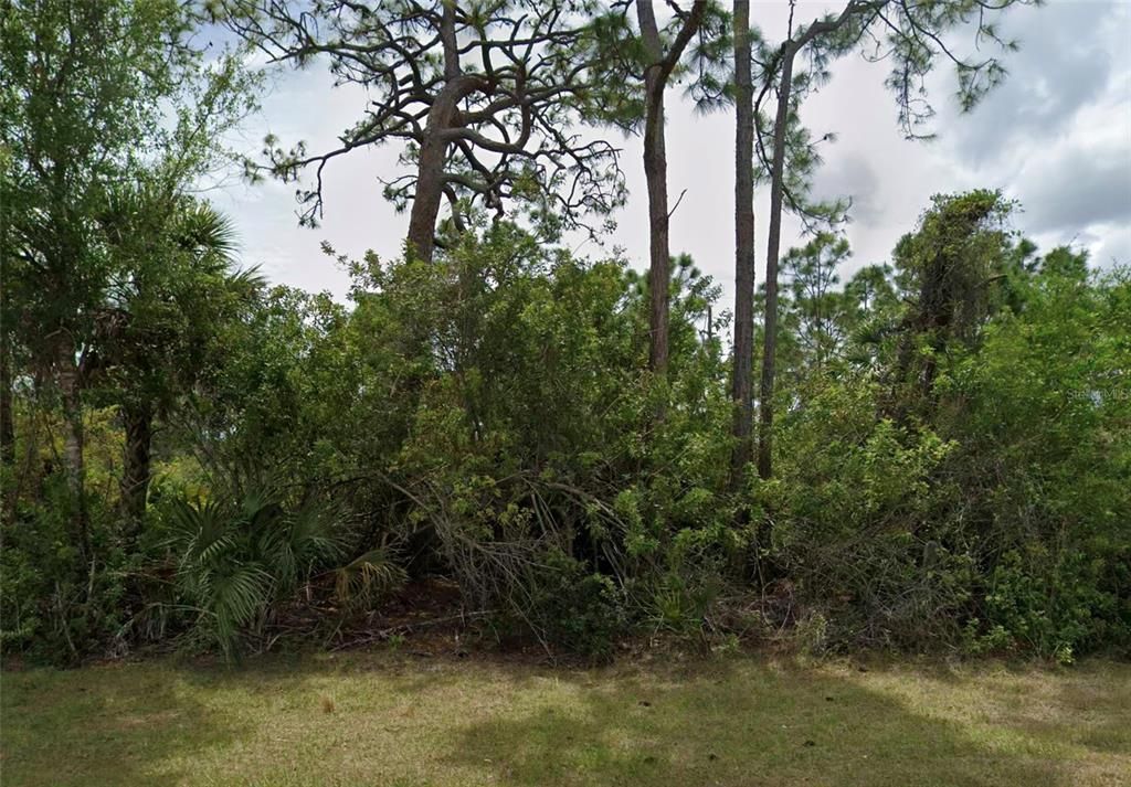 For Sale: $10,900 (0.24 acres)