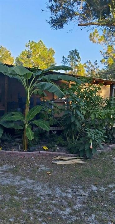 En Venta: $235,000 (4 camas, 2 baños, 1219 Pies cuadrados)