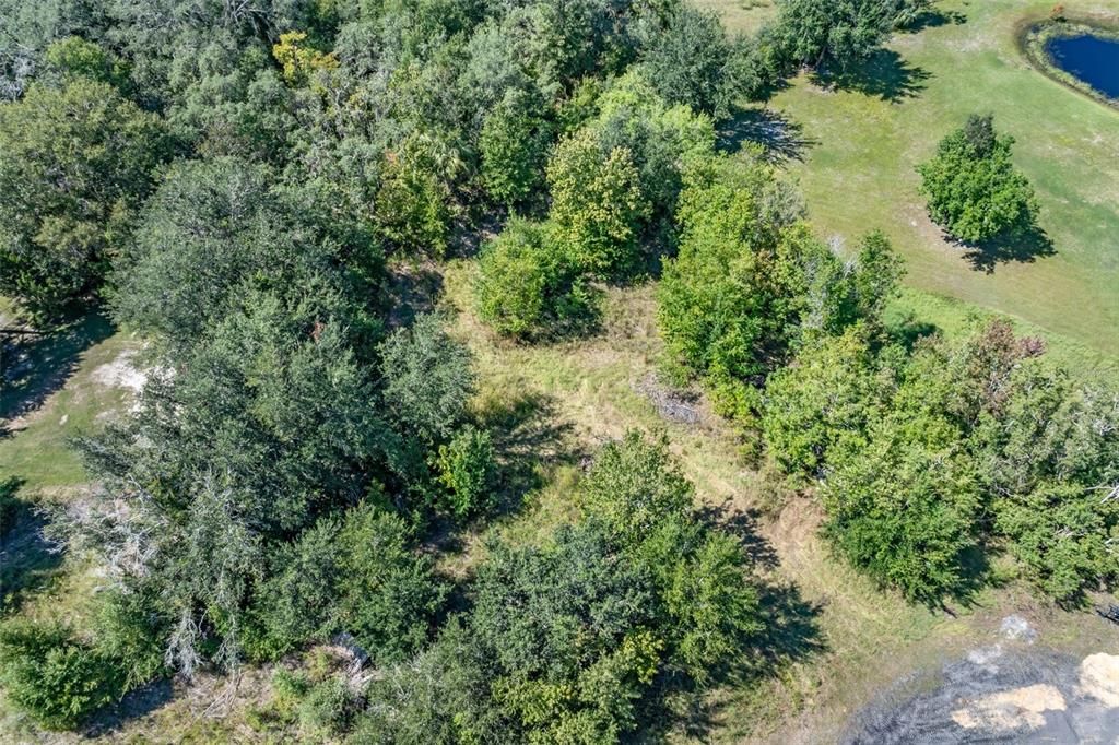 На продажу: $22,000 (0.51 acres)