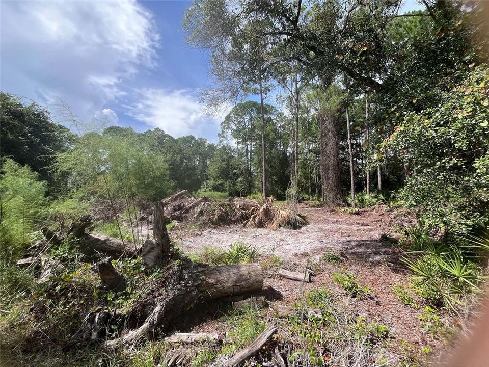 For Sale: $15,000 (0.23 acres)