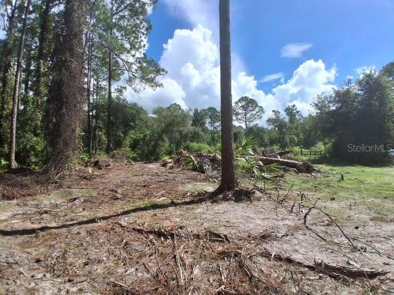 For Sale: $15,000 (0.23 acres)
