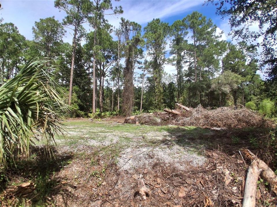 For Sale: $15,000 (0.23 acres)