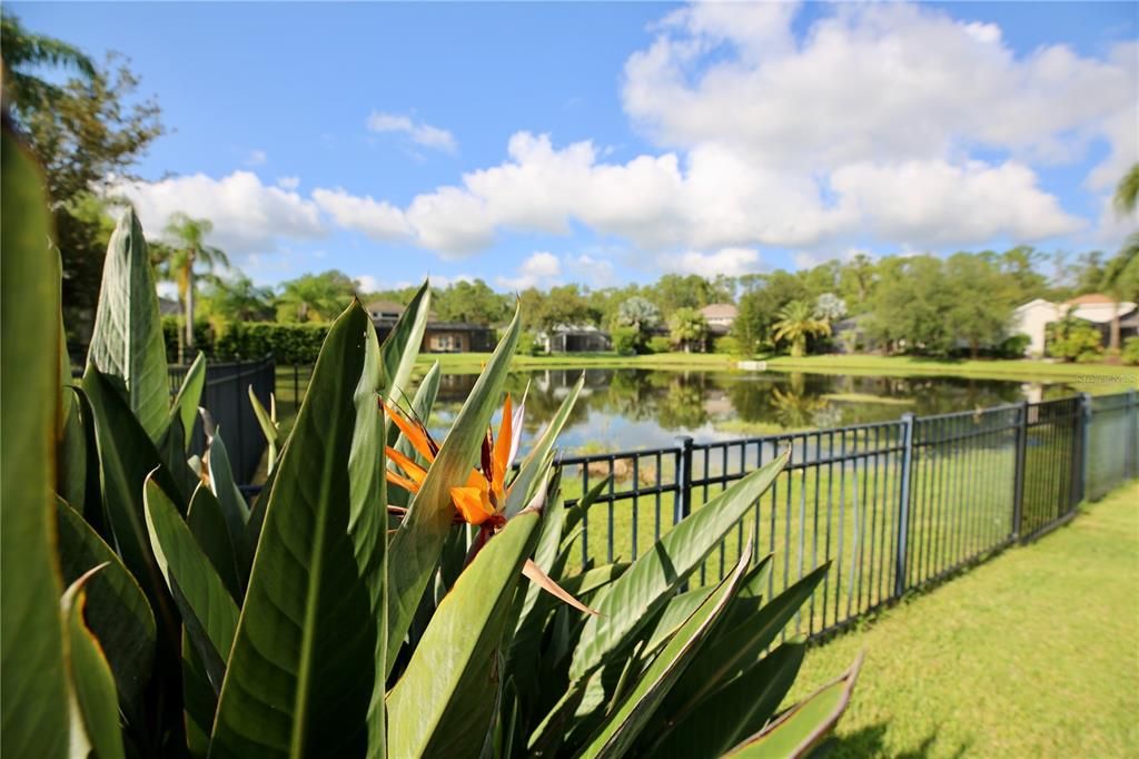 For Sale: $1,195,000 (4 beds, 3 baths, 2916 Square Feet)