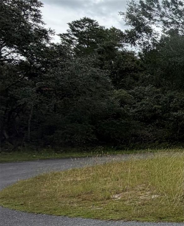 En Venta: $54,900 (0.44 acres)