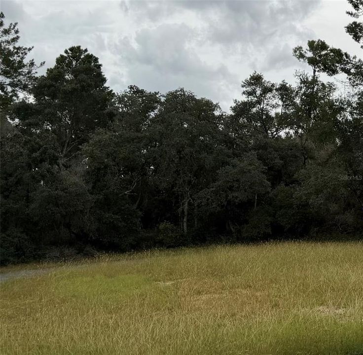 En Venta: $54,900 (0.44 acres)