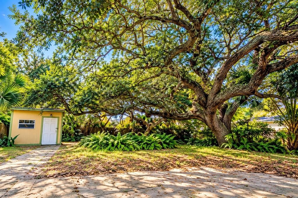 For Sale: $479,000 (2 beds, 1 baths, 1078 Square Feet)