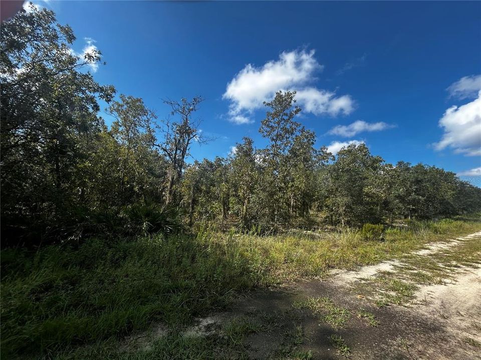 На продажу: $8,300 (0.25 acres)