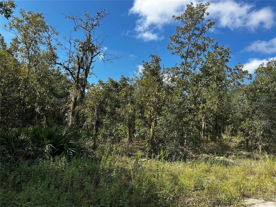 На продажу: $8,300 (0.25 acres)