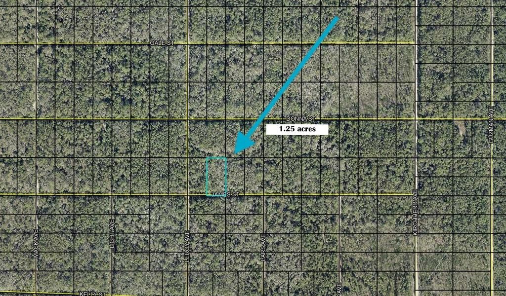 En Venta: $7,500 (1.25 acres)