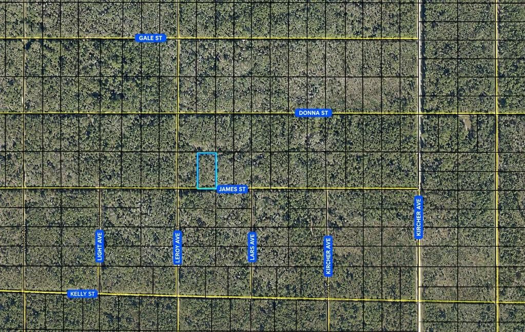 En Venta: $7,500 (1.25 acres)