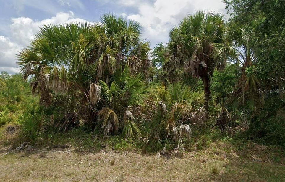 На продажу: $25,000 (0.23 acres)