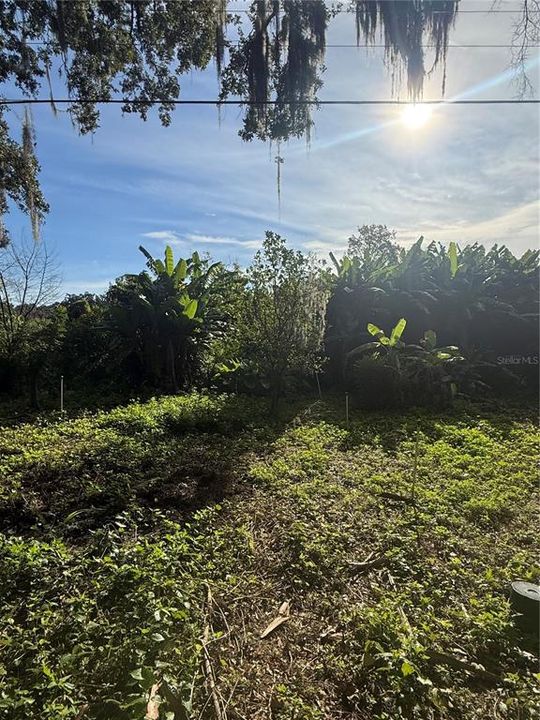 En Venta: $125,000 (0.30 acres)