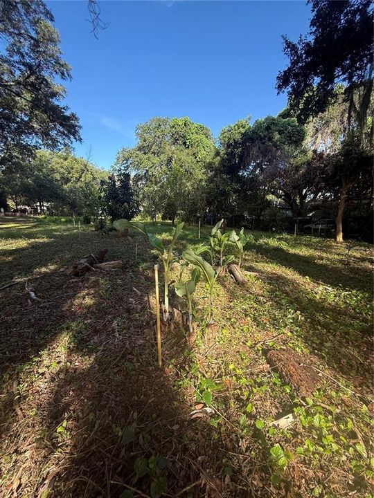 En Venta: $125,000 (0.30 acres)