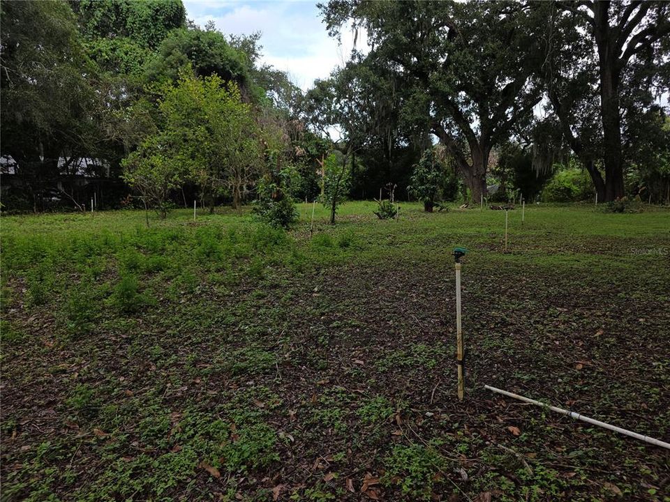 En Venta: $125,000 (0.30 acres)