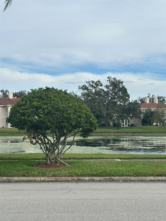For Rent: $1,795 (2 beds, 2 baths, 1178 Square Feet)
