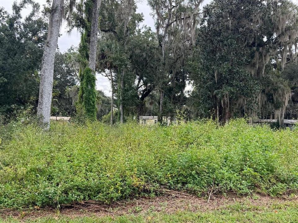 En Venta: $13,770 (0.17 acres)