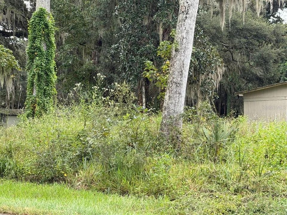 En Venta: $13,770 (0.17 acres)