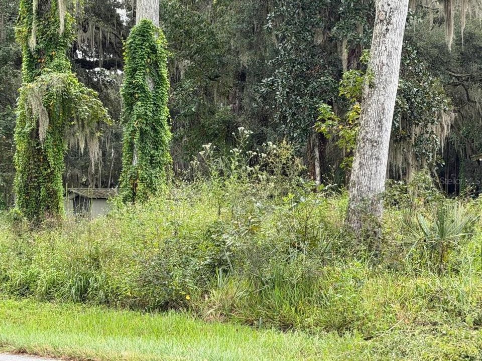 En Venta: $13,770 (0.17 acres)