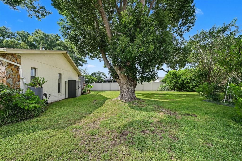 For Sale: $365,000 (3 beds, 2 baths, 1590 Square Feet)