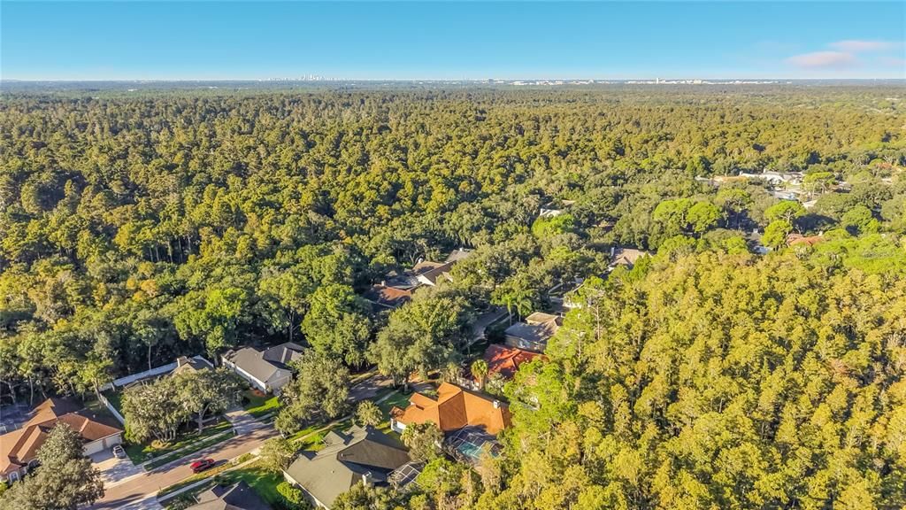 На продажу: $895,000 (5 спален, 3 ванн, 2804 Квадратных фут)